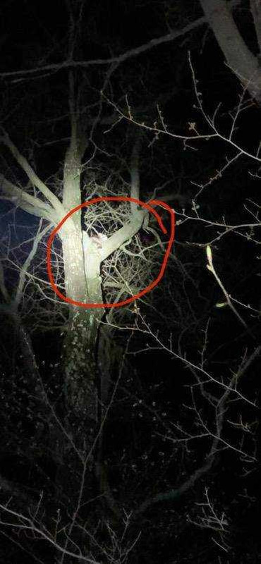 Resized_Resized_IMG_4595 (1)