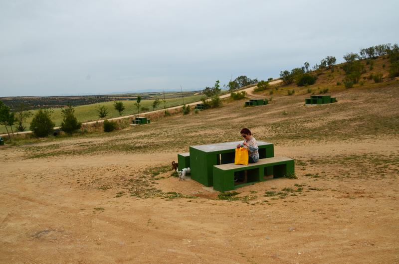 Barrancas de Burujón-2015/2025 - Toledo y sus pueblos-1996/2026 (27)