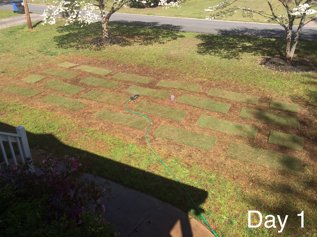 6DB993E3-619A-44E1-8834-F273CE609F94