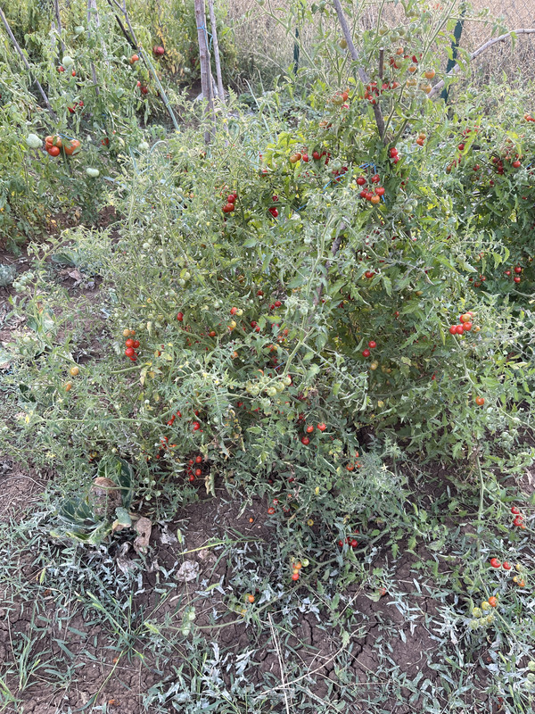 10B2CB2A-B360-42BC-8238-B98A643D3D14