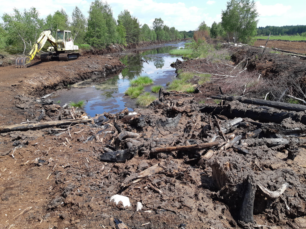 04.22 - 20180601_121224 (PiTT)