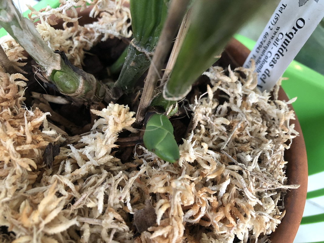 45C8C2D1-AA50-48FF-9F47-7744C821B0EB