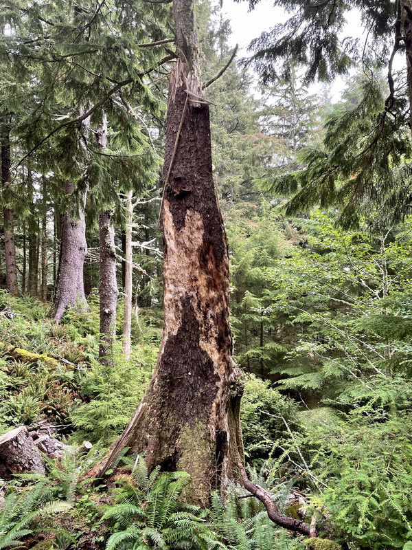 72D4D378-55DC-46BB-B501-7EFA9EF69697