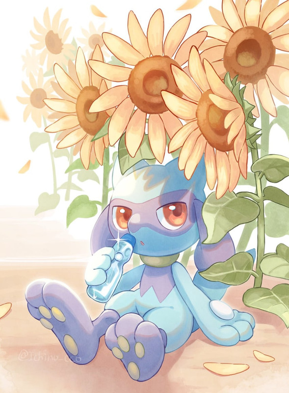 riolu-pokemon-drawn-by-ichino-cco-sample