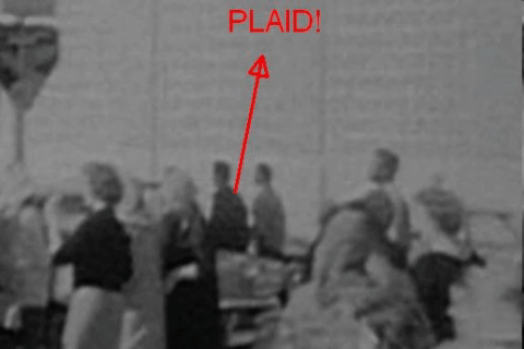 Couch-arce-plaid.gif