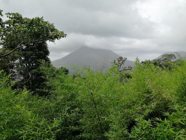 Tortuguero-Arenal-Monteverde - Costa Rica con niños. Julio-Agosto 2018 (1)