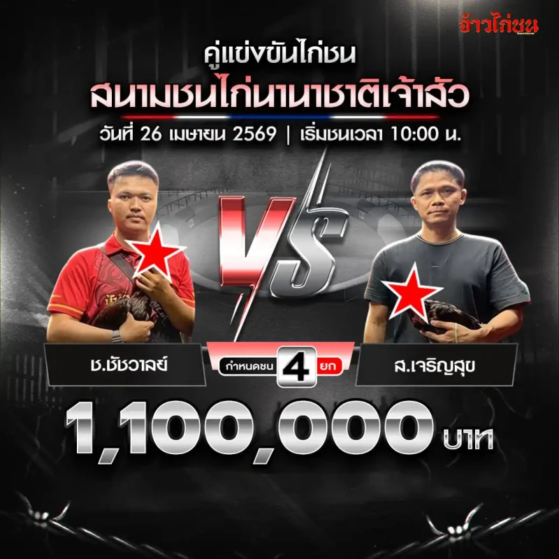 ช.ชัชวาลย์ พบ ส.เจริญสุข โปรแกรมไก่ชน สนามชนไก่นานาชาติเจ้าสัว วันที่ 26 เมษายน 2569