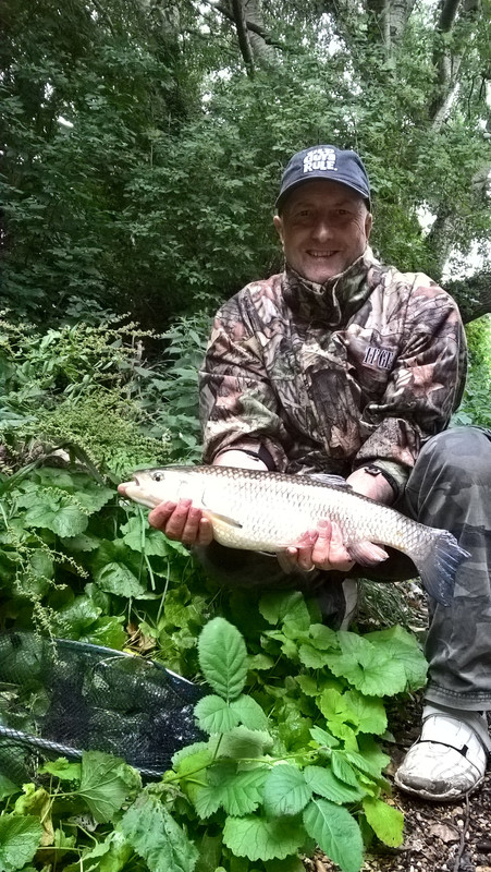 WP_20170628_18_11_40_Pro (1)