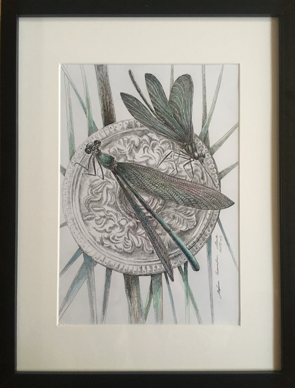 F8FA582A-5975-45D7-B9F9-8151ED785957