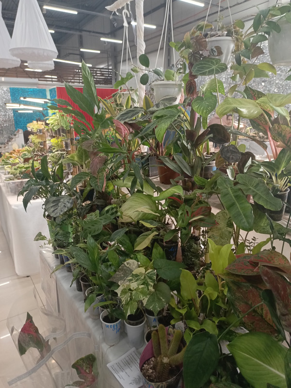 IMG_20250301_110207_542