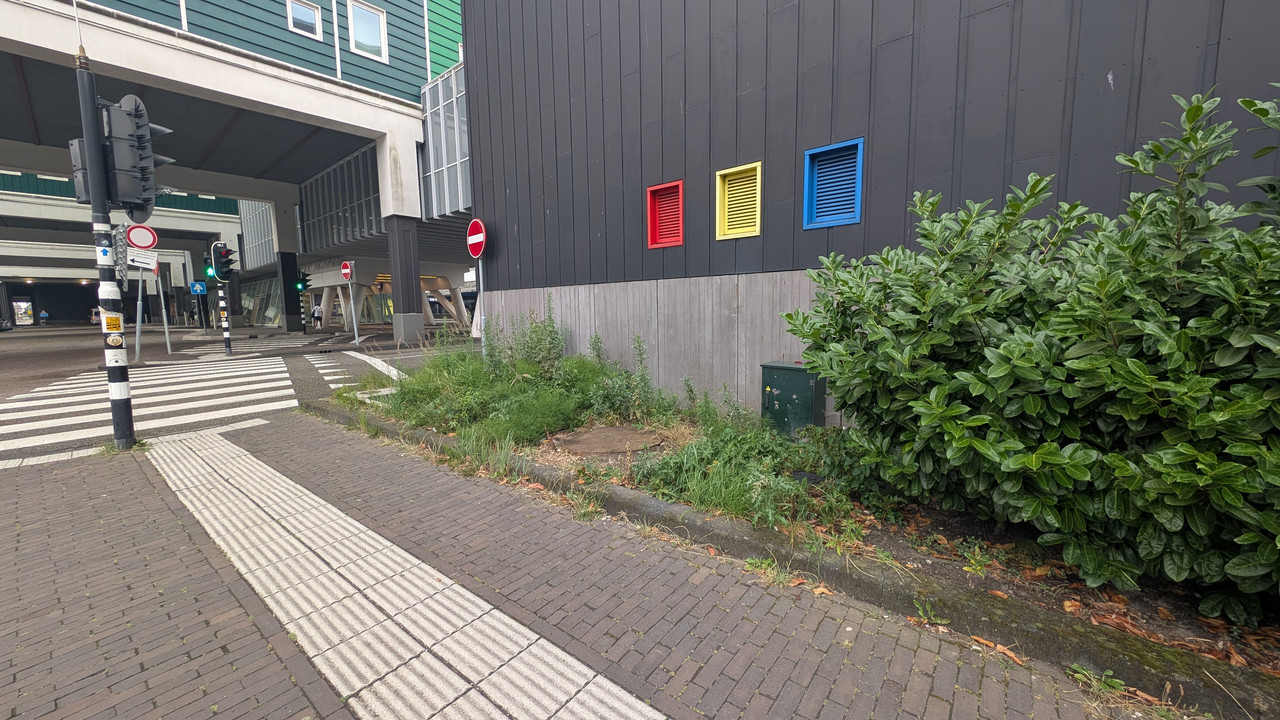 PXL-20250702-164401460.jpg