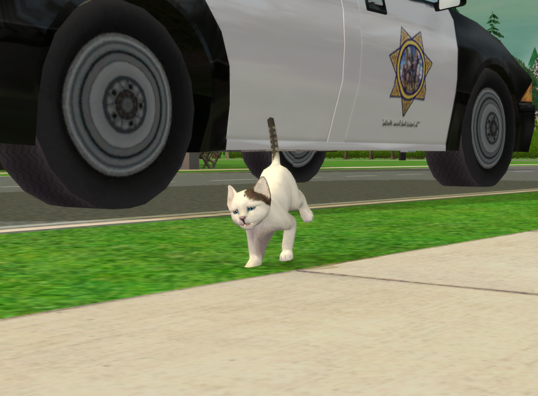 Sims2-EP9-RPC-2024-01-13-17-19-45-95