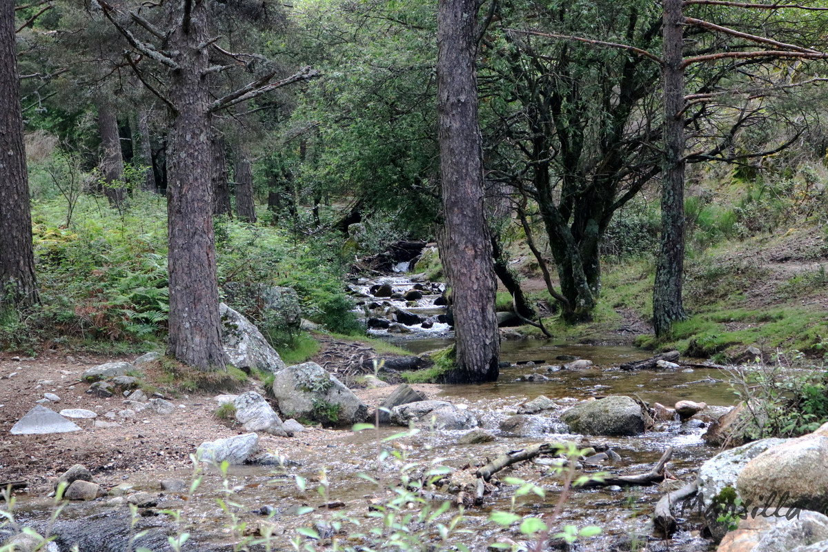 Navacerrada-Cercedilla-04