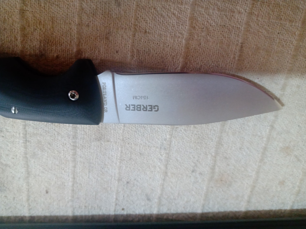 IMG_20220615_183424847