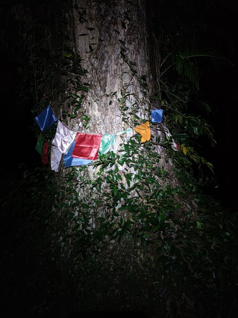 IMG-20201127-212622.jpg