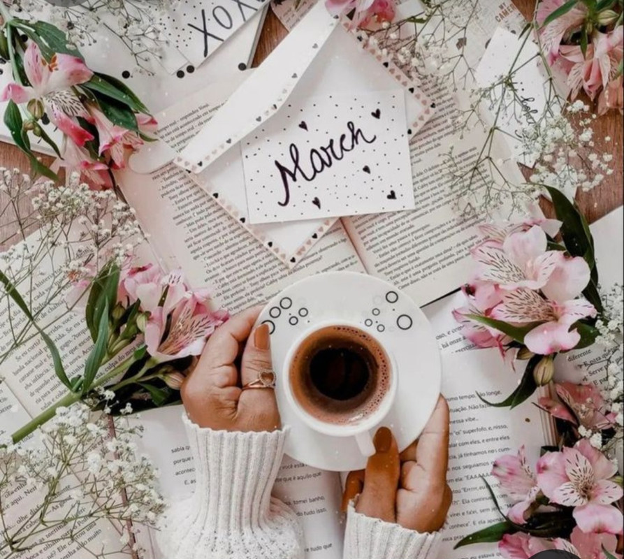 Screenshot_20230225_012508_Pinterest