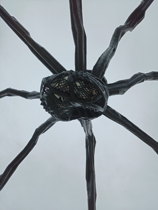 IMG_20210504_143128_746