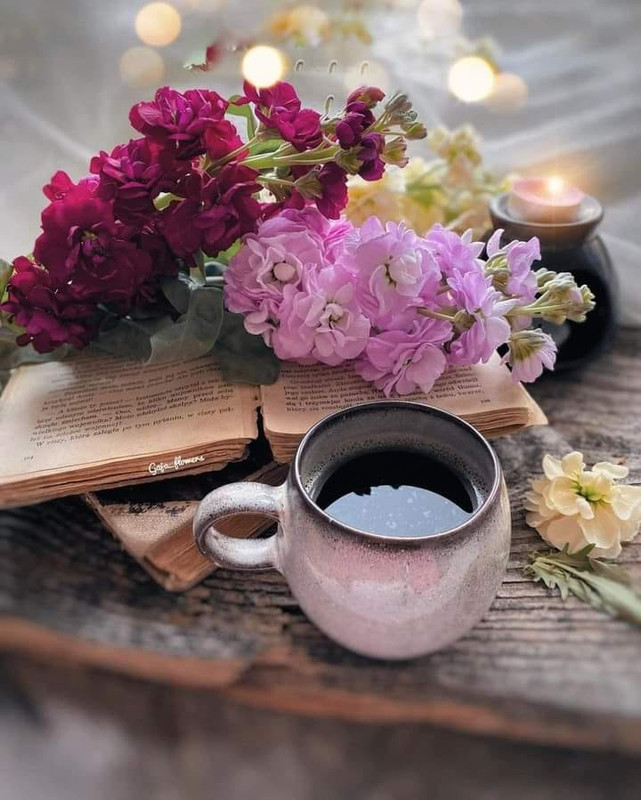 https://i.postimg.cc/HsNr8jtM/485868403-1068564465305345-315162545238424433-n.jpg