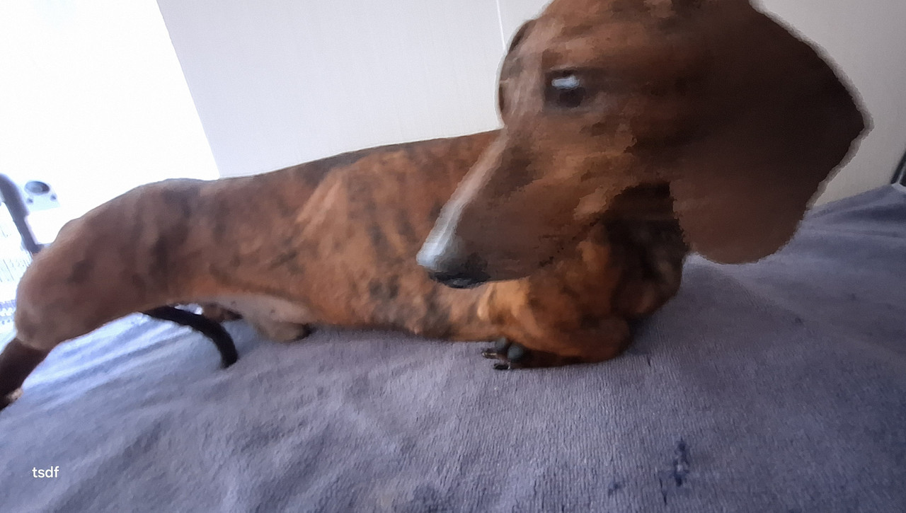 [Image: 20250825-170556.jpg]