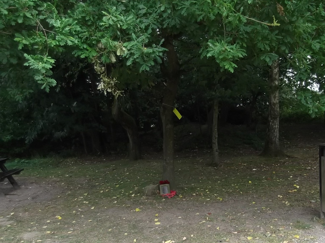 DSCF4955 (2)