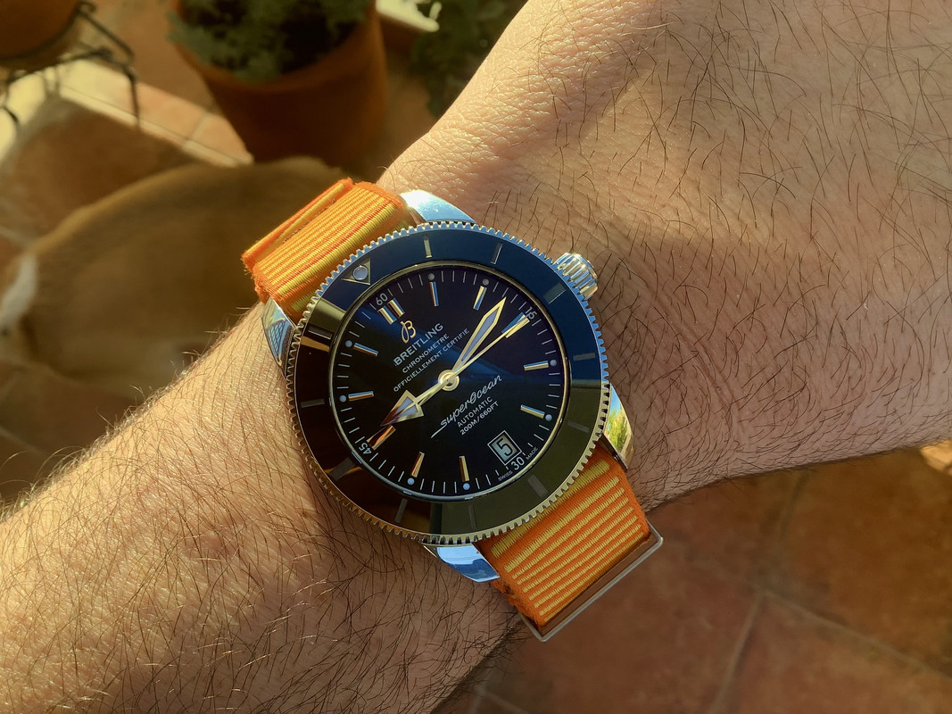 AAC901C0-DD5C-4C3E-8CE7-9B8735C850E6