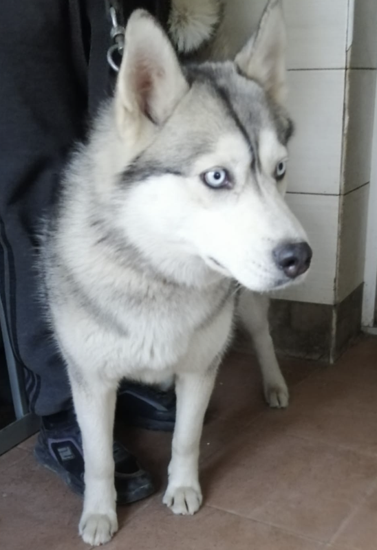 Снимок экрана 2024-05-02 в 17.52.37