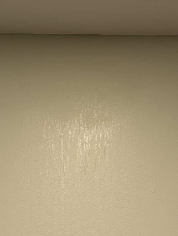 PXL 20251229 222917444