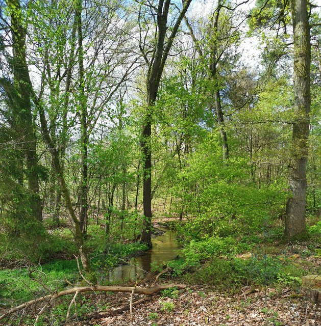 Afbeelding