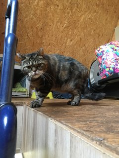 79-D86-E33-6507-4570-B72-D-AE3-D8-A358-F