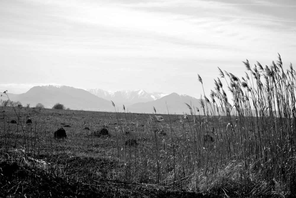 DSC_1915