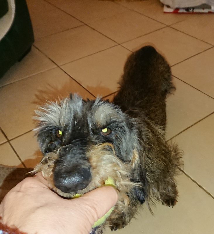 [Image: 20240203-211353.jpg]