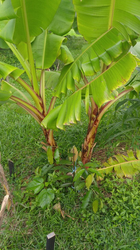 20170513_073507 (Copier)