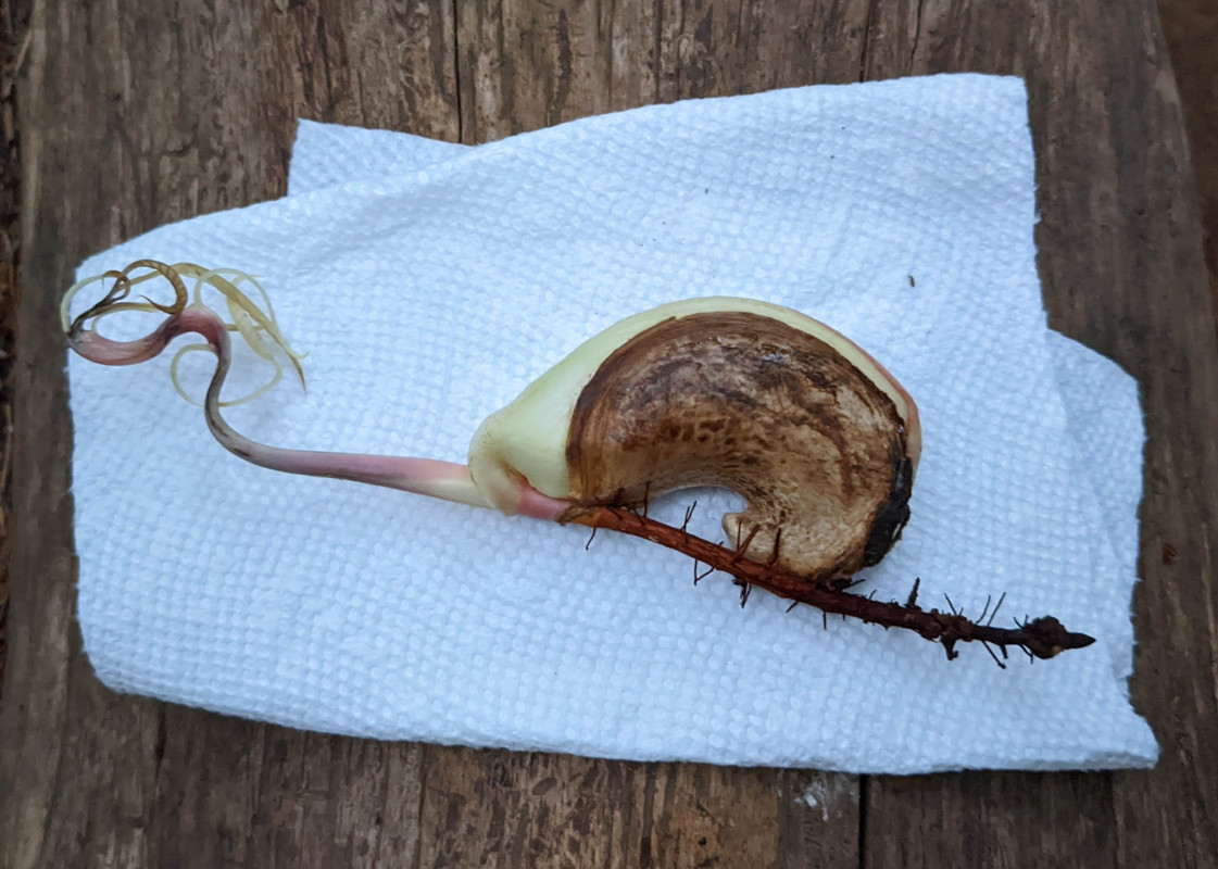 PXL_20220722_040914052.NIGHT