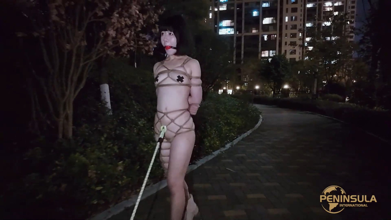 半岛束艺 汪星崛起.~落叶_edit.mp4_20250203_133316.920