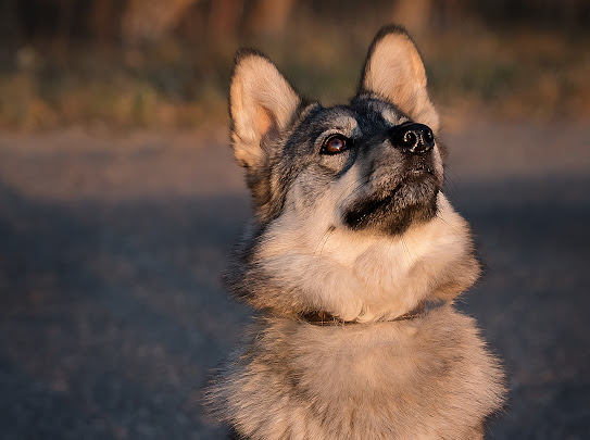 изображение_viber_2022-01-10_11-24-50-516