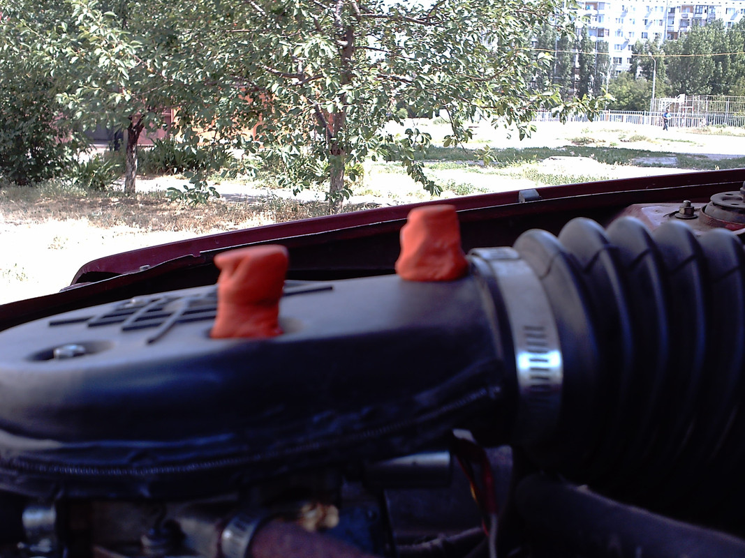 черепахен 001