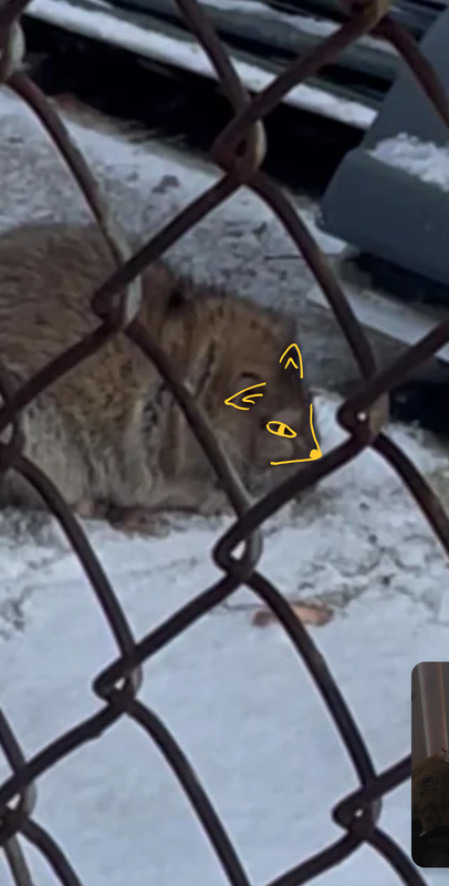 Screenshot 20260122 212511 Firefox