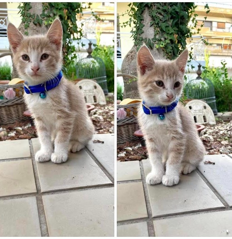 Εικόνα