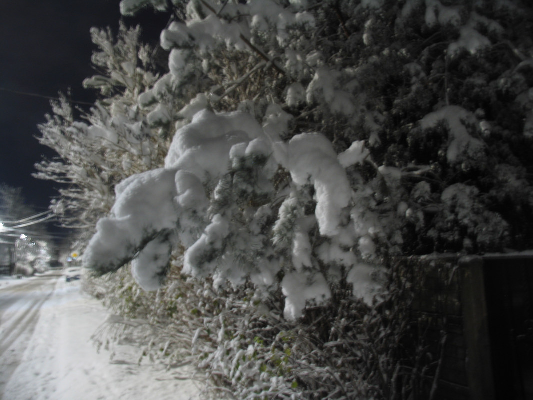 Ноябрь2023 017