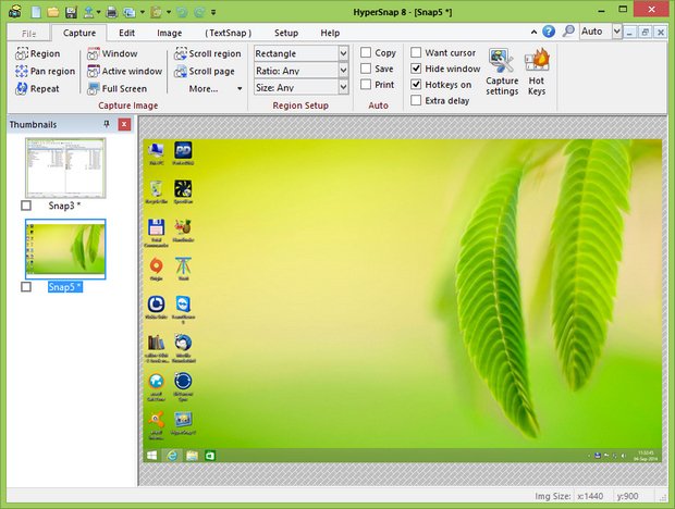 HyperSnap 8.24.01 Portable