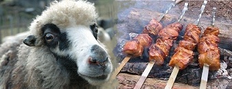 34 БаранШашлик