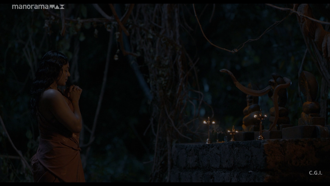 vlcsnap 2026 02 25 12h51m28s725