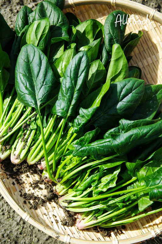 Spinach 101 and Health Benefits