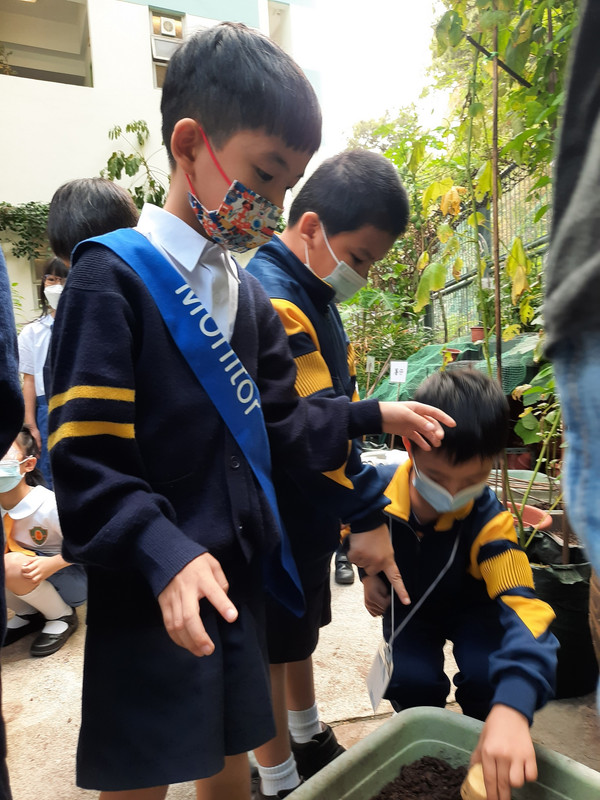 photo-littlefarmer2223-1A-008