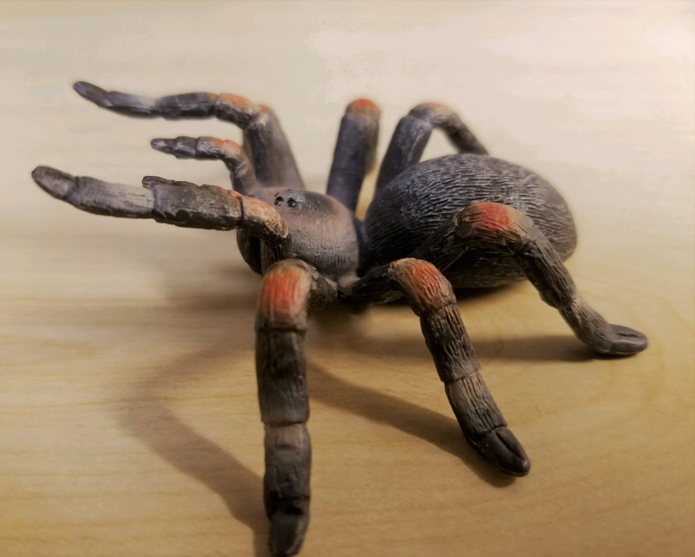 mojo - Tarantula (Mojo Fun) 20190424-174637