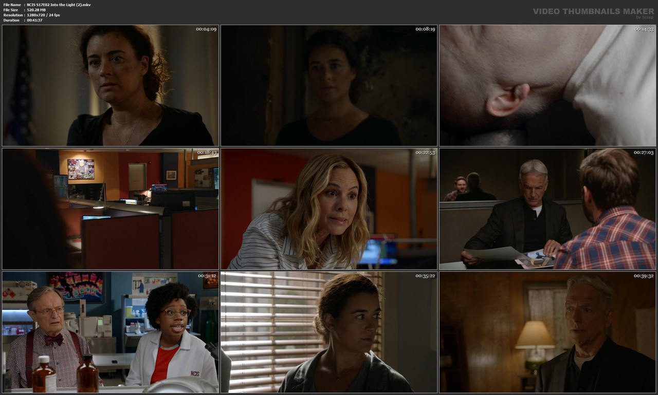 NCIS S17E02 Into the Light (2).mkv