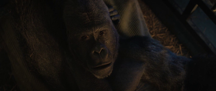 vlcsnap-2020-08-22-18h37m44s139