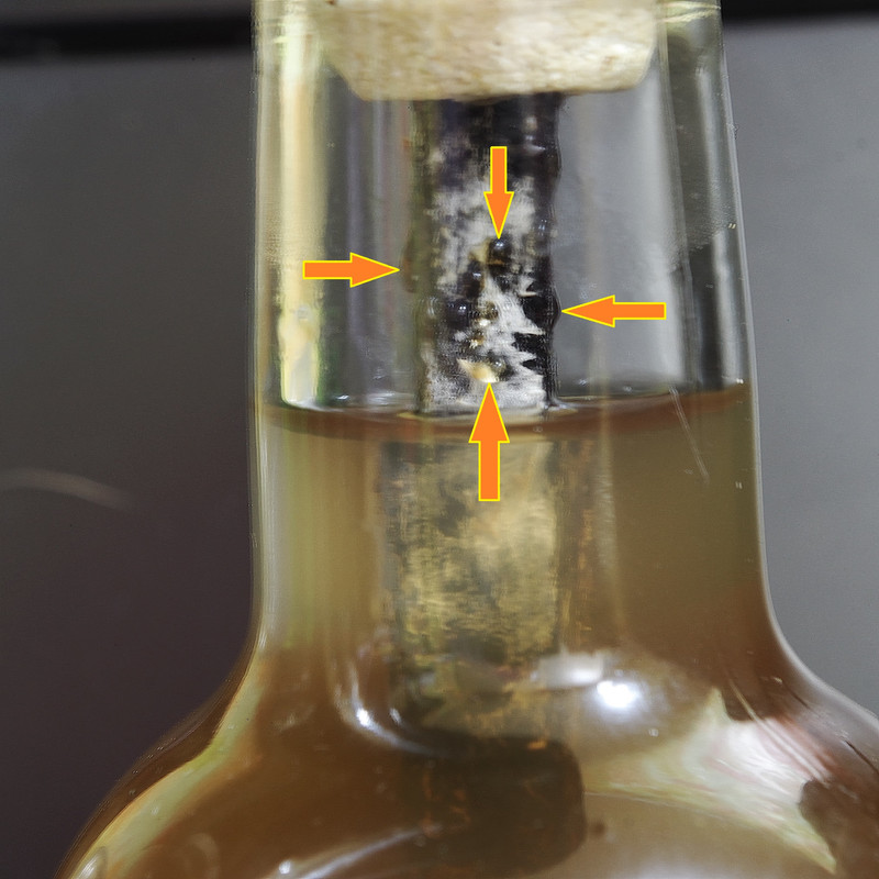 IMGP48170000000 — копия