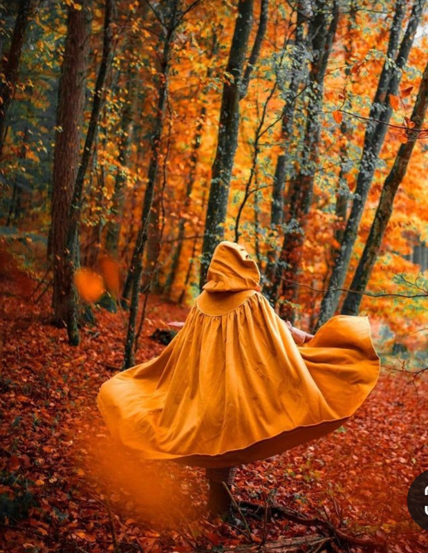 Screenshot_20231127_220947_Pinterest