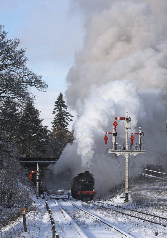 DSC 8960 2nd edit 2 resize brighten 3rd baubles